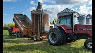 Drying Wheat 2017 Gt Gas fired Dryer!