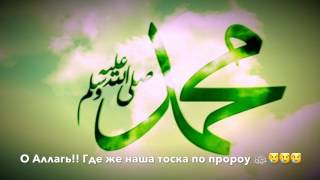 Видео очень трогательный рассказ. Тоска про пророке мир ему и благословение (автор: Gruppa Nasledie)