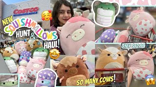 HUGE✨Costco 16inch😱Squishmallow Hunting & HAUL! • NEW🐮Cows, Mushrooms, & More! For only $12.99!