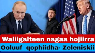 Waliigalteen nagaa hojiirra ooluuf dhibbeentaa 90 qophiidha- Zeleniskii