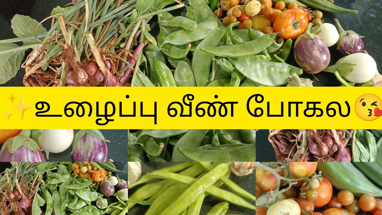 👉இதோ கஷ்டதுக்கான பலன் 😘|harvest Today #support #longvideo 