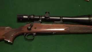 .17 Remington vs Steel Plate