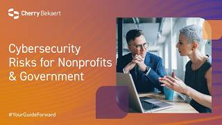 Cybersecurity Risks for Nonprofits & Government