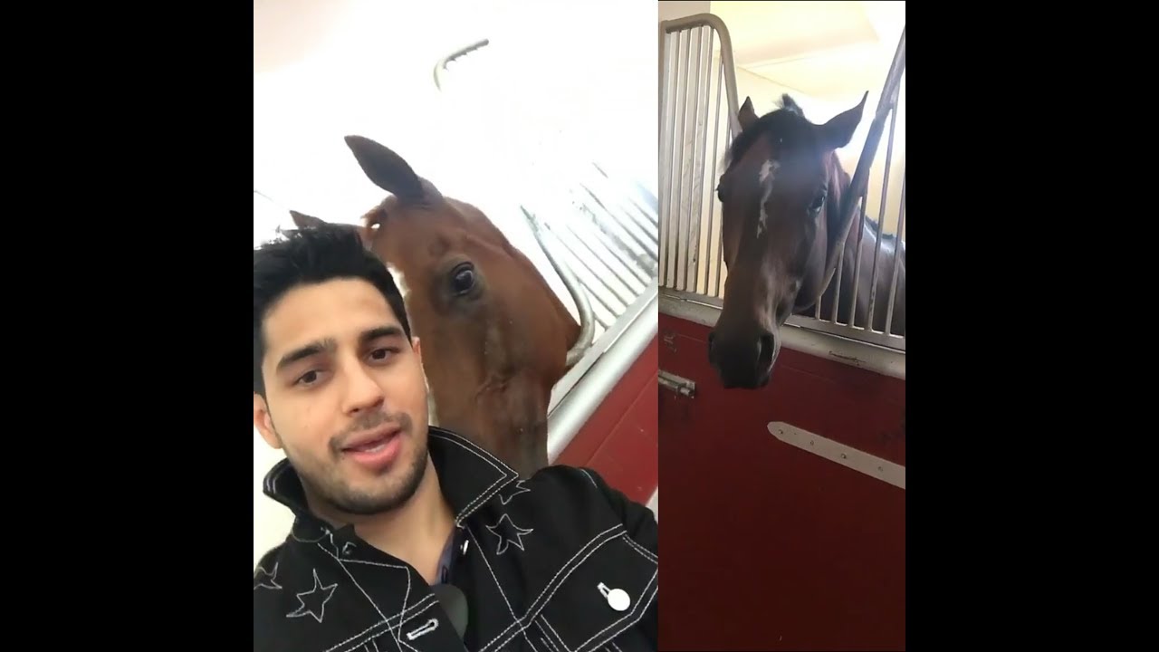 Zabeel Racing Stables at Dubai Horse Race YouTube