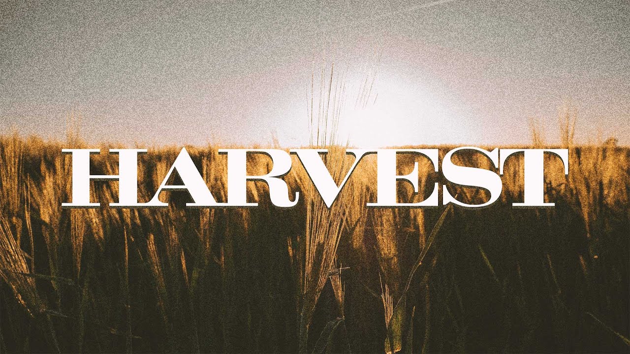 Harvest Series | Protect What God Planted - Pastor Jujie Rodriguez