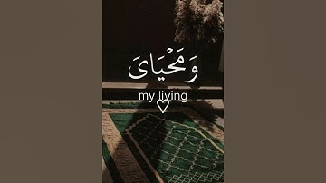 قل إن صلاتي ونسكي ومحياي ومماتي لله رب العالمين🥺| سورة الأنعام الشيخ ماهر المعيقلي