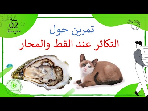 تمرين حول نمط التكاثر عند القط والمحار علوم طبيعية سنة 02 متوسط تمرين حول نمط التكاثر عند القط والمحار علوم طبيعية سنة 02 متوسط