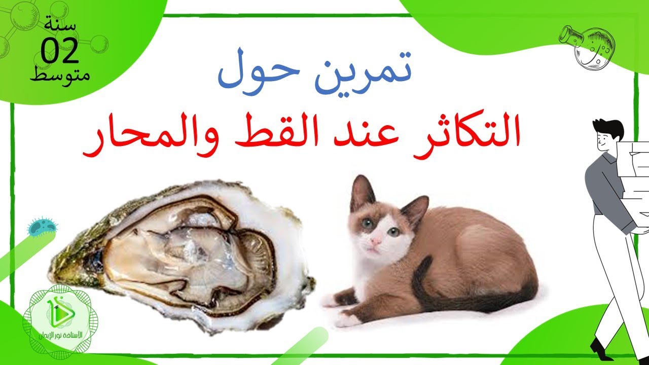 تمرين حول نمط التكاثر عند القط والمحار علوم طبيعية سنة 02 متوسط