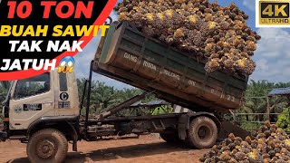 bawak buah sawit 10 ton lebih buahnya tak nak jatuh aduh parah sunguh🤦#lorisawit #tkidimalaysia