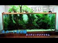 天野 尚 宅 巨大ネイチャーアクアリウム水槽4m アクアの極み 4K動画