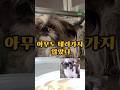 모두 먹이만 주고 외면한 유기견… 결국 제가 데려왔습니다 Everyone fed this stray… but no one took her home #유기견구조 #shorts