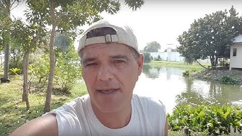 Frank Cuesta inicia su plan para salvar el santuario en Tailandia