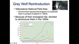 Reintroduction