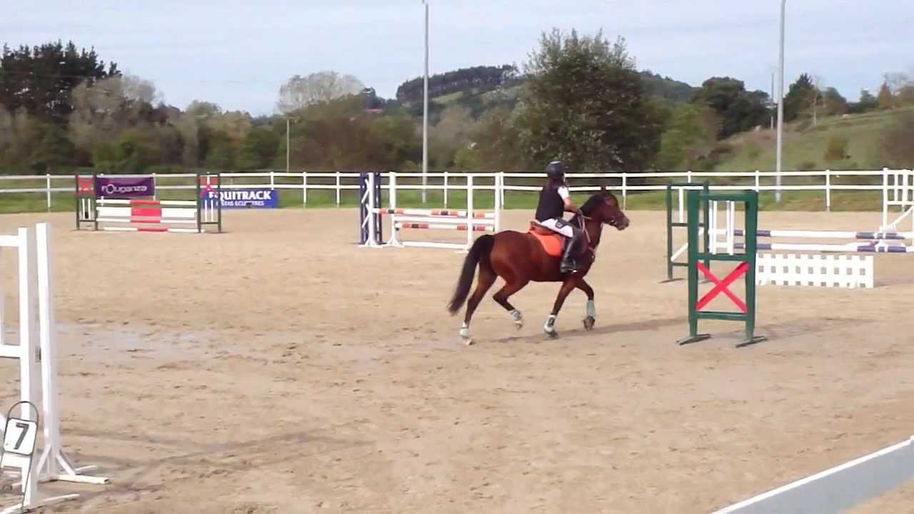 Horse jump training is not easy , fall down and stand up is the way