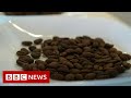 New video by BBC News on YouTube