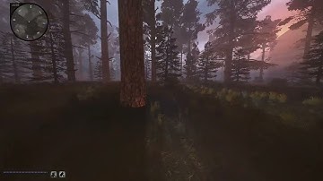 Stalker Anomaly almost but not quite