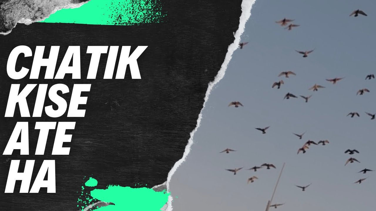 Chatak kise ate ha   Or tawa Kia hota ha sance dam bano 