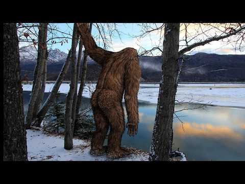 Bigfoot in North America | From Ohio to Arizona!