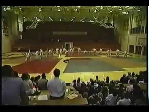 1994 - Chimeras Winterguard - Trouble In Our Fields