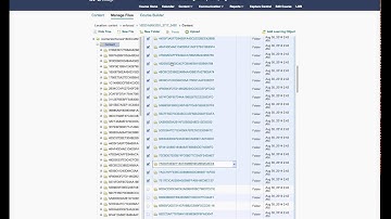 D2L Pro-Tip for Prep - Managing Files