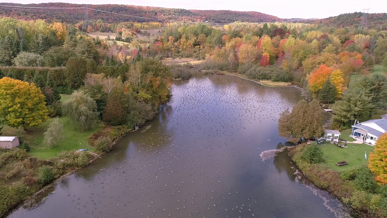 lac aux outardes YouTube