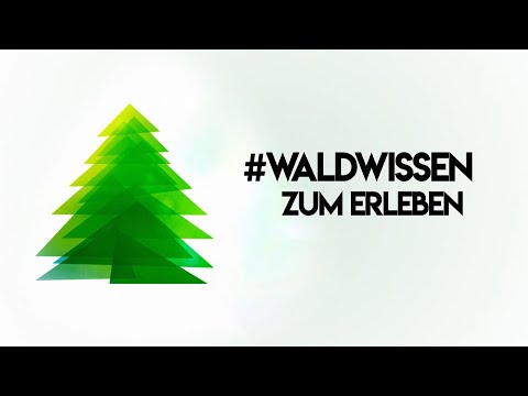 Video: Kelo: Beschreibung Von Totholz-Polarkiefer, Holzbohlen Und Einem Blockbadehaus, Totholzpavillons, Möbel- Und Hausbau