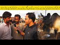 Noorani Cow Mandi 29-6-22 Karachi Bharpur Janwer Mandi may Mojood Khredaron ney Khredari sharo kardi