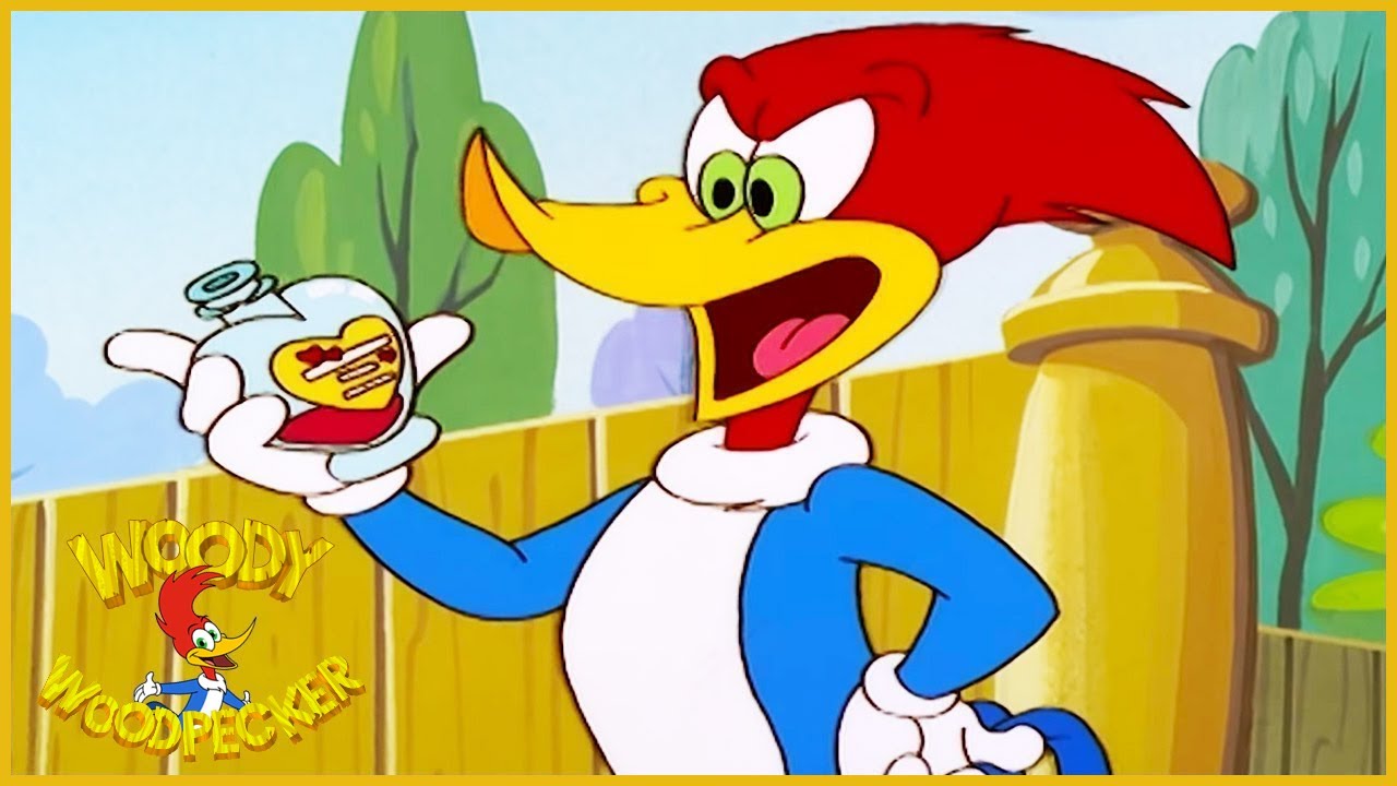 Woody Woodpecker Woody's Roommate Woody Woodpecker Full Episodes
