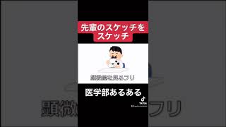 組織学では他人のスケッチをスケッチ【医学部あるある】