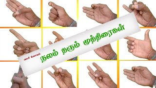Muthiraigal | நலம் தரும் முத்திரைகள் | தன்வந்தரி |  muthiraigal full in tamil | வாசியோகம் பாகம் 3 screenshot 5