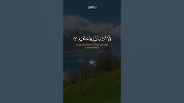 سورة الکافرون القارئ ( پیشەوا قادر ) بەتەفسیری کوردی