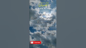 Surah Al-fil(The Elephant) تلاوة سُوْرَۃُ الفِيل بصوت مشاري بن راشد #quran #elephant #سورۃ