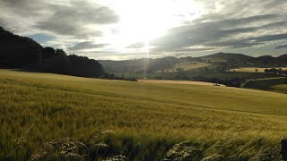 Hill Walk near Abernyte...Scotland..2020