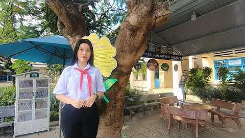 Bài thi Đại sứ văn hóa đọc năm học 2020