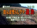 part46 田んぼ荒らしグマ 退治!