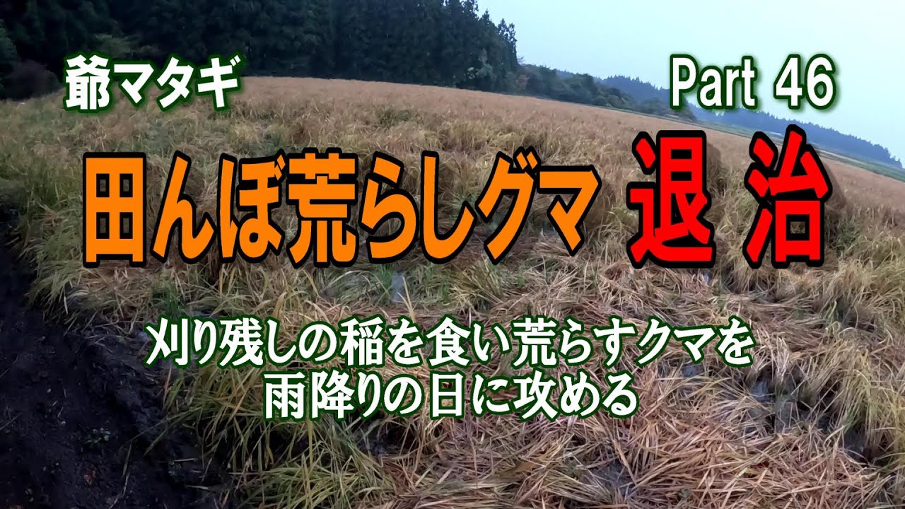 Part 46: Defeating the bear that's destroying the rice fields