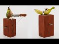 Two pieces of fruit automata by carlos zapata