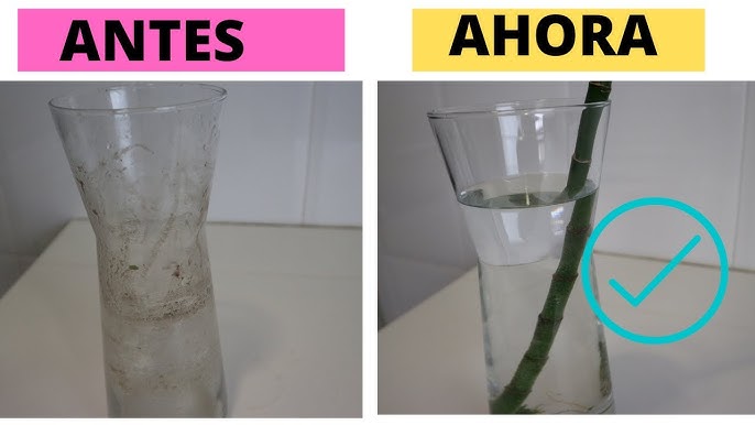 Cómo limpiar por dentro las botellas de vidrio