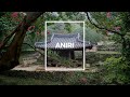 [playlist]  국악의 진수｜끊임없이 이어듣는 산조 - 가야금편｜가야금산조 3시간｜국악플레이리스트 ANIRI