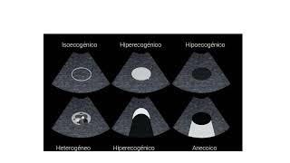 APLICACION DEL FAST-PEDIATRIA