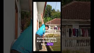 Mancing Mania di kolam #mancing #mancingmania #ikan