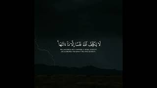 (لَا يُكَلِّفُ اللَّهُ نَفْسًا إِلَّا مَا آتَاهَا) ماهر المعيقلي