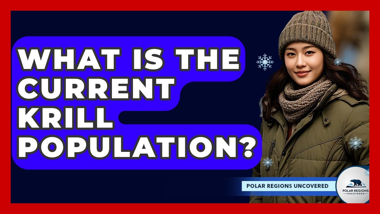 What Is The Current Krill Population? - Polar Regions Uncovered