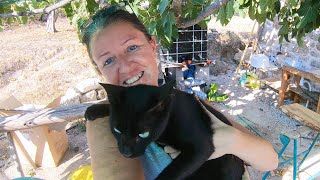 July Off Grid Progress Report Goals For A Hot August In Portugal