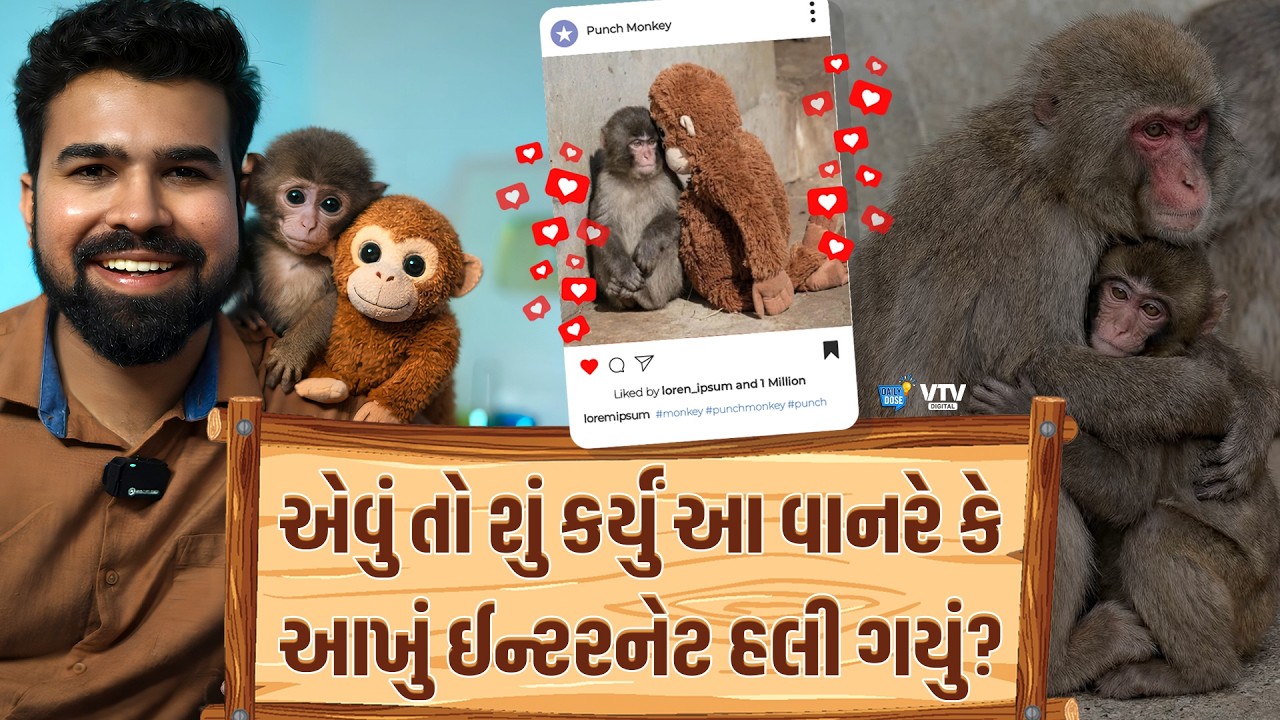 માતાએ તરછોડ્યો તો ઢીંગલીને બનાવી માં, આ વાનર માટે કરોડો લોકોએ પ્રાથના કેમ કરી? | Punch |  Daily Dose