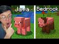 TERNYATA INILAH 30 Perbedaan JAVA vs BEDROCK Yang Hanya Diketahui Player Old Minecraft!!!