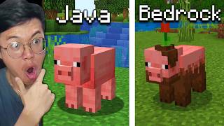 TERNYATA INILAH 30 Perbedaan JAVA vs BEDROCK Yang Hanya Diketahui Player Old Minecraft!!!