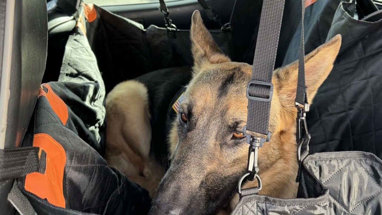 🚗 Waterproof Dog Car Seat Cover – Keep Your Car Clean & Your Pet Safe!