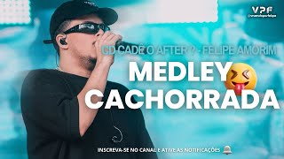 Medley Cachorrada - Felipe Amorim