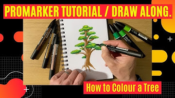 Promarker Tutorial / Draw along. How to Colour a Tree.